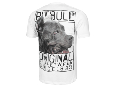 Футболка PIT BULL Origin T-shirt