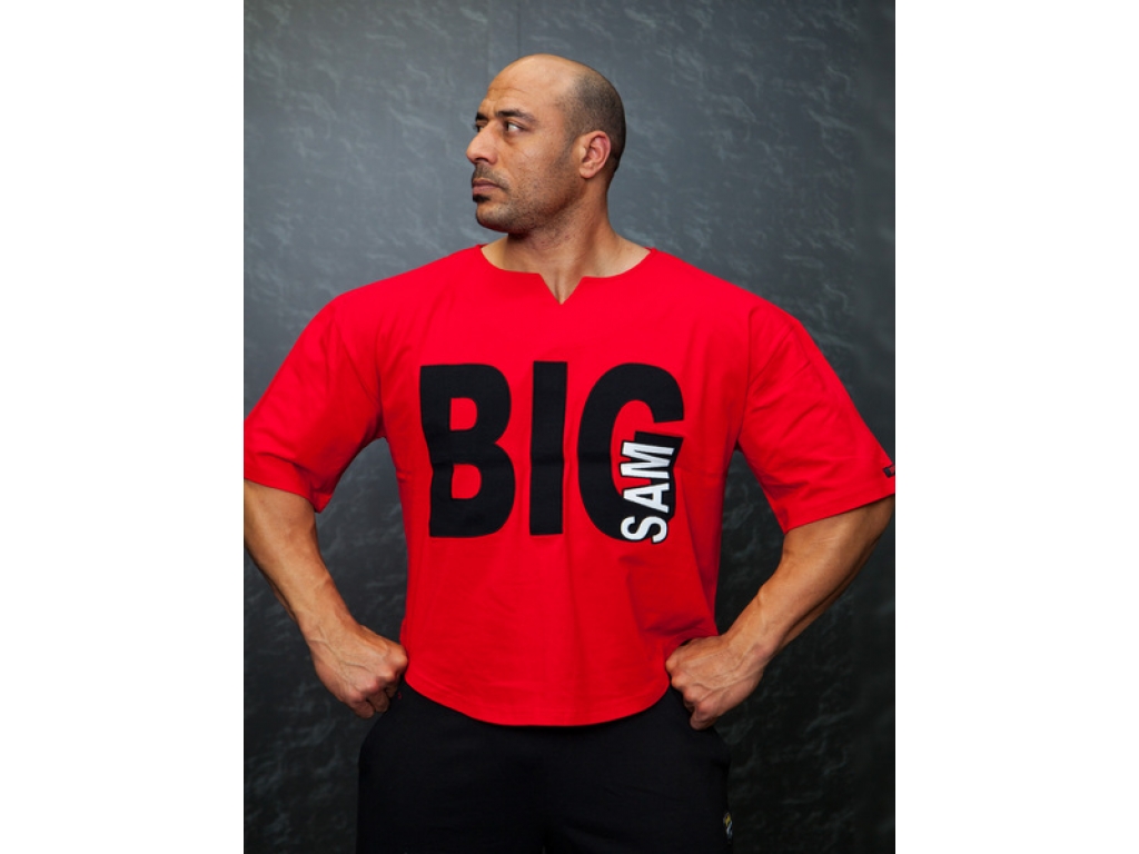 Топ BIG SAM