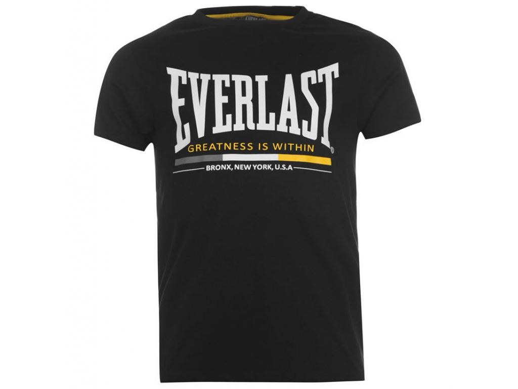Футболка EVERLAST Classic-2 T-Shirt Mens Sn42