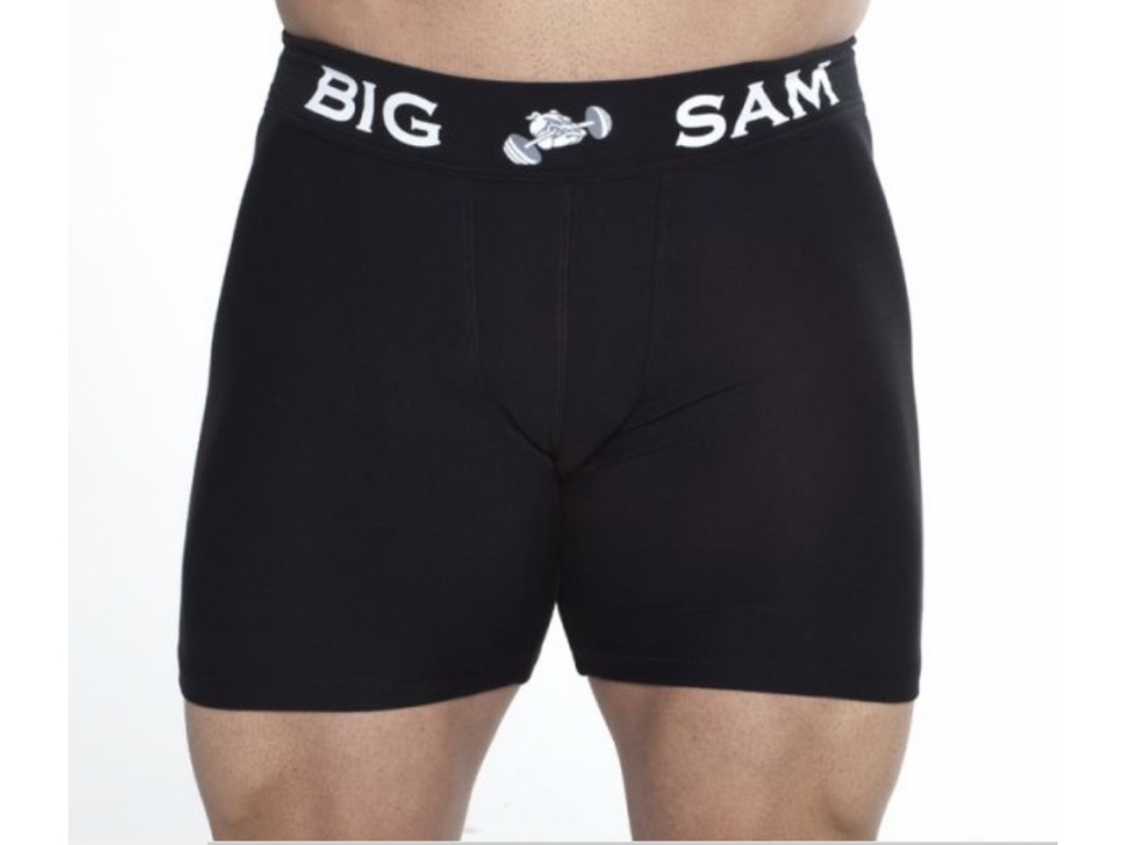 Шорти BIGSAM