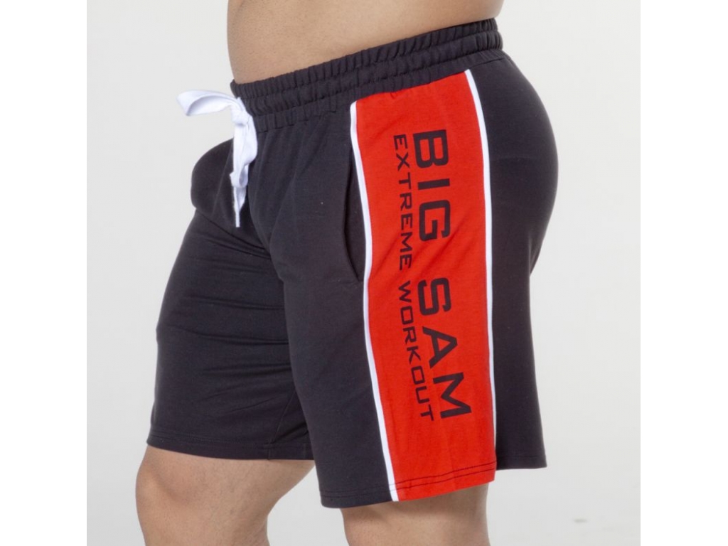 Шорти BIGSAM
