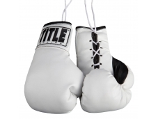 Перчатки сувенирные TITLE Replica Championship Gloves 7"