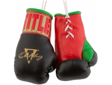 Перчатки сувенирные TITLE Oscar De La Hoya 5" Mini Boxing Gloves
