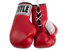 Перчатки сувенирные TITLE Replica Championship Gloves 7"