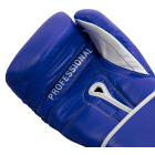 Тренувальні рукавички PRO MEX Professional Training Gloves V2.0