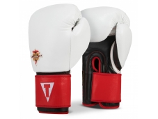 Перчатки тренировочные TITLE Boxing 20th Anniversary Training Gl.