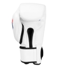 Рукавички тренувальні FIGHTING SPORTS Fury Professional Training Gloves
