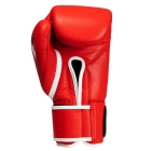 Рукавички тренувальні FIGHTING SPORTS Fury Professional Training Gloves