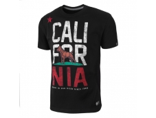 Футболка PIT BULL Man California Flag