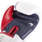 Боксерські рукавички VENUM Bangkok Spirit Boxing Gloves 