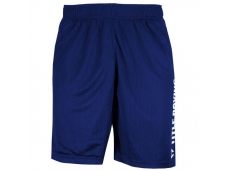 Шорты тренировочные TITLE Boxing Mesh Training Shorts