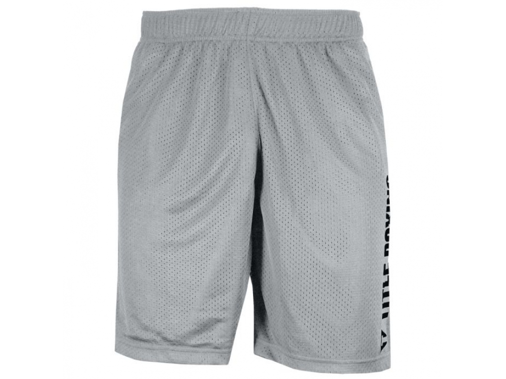 Шорты тренировочные TITLE Boxing Mesh Training Shorts