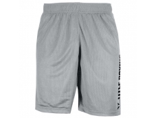 Шорты тренировочные TITLE Boxing Mesh Training Shorts