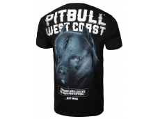 Футболка PIT BULL Black Dog