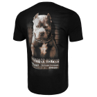 Футболка PIT BULL Mugshot 2