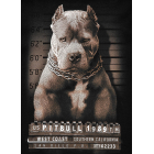 Футболка PIT BULL Mugshot 2
