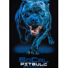 Футболка PIT BULL In Blue T-shirt