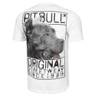 Футболка PIT BULL Origin T-shirt