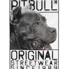 Футболка PIT BULL Origin T-shirt