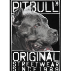 Футболка PIT BULL Origin T-shirt