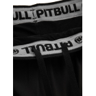 Шорти PIT BULL Mens Performance Shorts Mesh