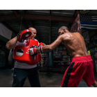 Пояс тренера TITLE Boxing Combination Body Protector