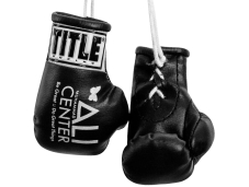Сувенірні міні-рукавички TITLE Ali Center Mini Boxing Gloves