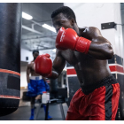 Боксерські рукавички HAYABUSA Pro Boxing Gloves
