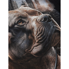 Футболка PIT BULL Hero T-Shirt