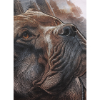Футболка PIT BULL Hero T-Shirt