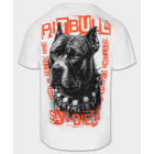Футболка PIT BULL Blacky T-shirt