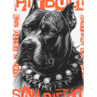 Футболка PIT BULL Blacky T-shirt