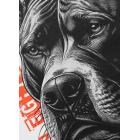 Футболка PIT BULL Blacky T-shirt