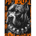 Футболка PIT BULL Blacky T-shirt