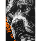Футболка PIT BULL Blacky T-shirt