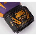 Боксерські рукавички VENUM Elite Boxing Gloves