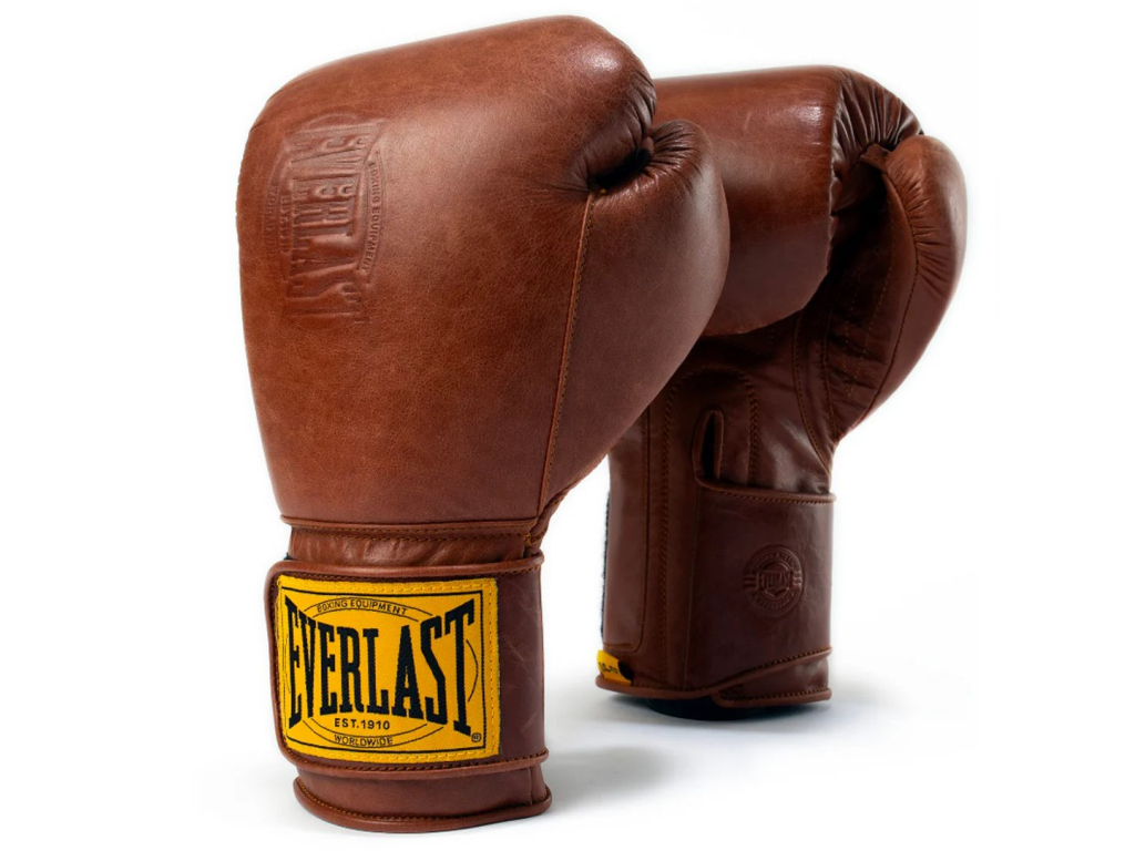 Тренувальні рукавички EVERLAST 1910 Pro Hook and Loop Boxing Gloves