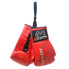 Сувенірні рукавички RIVAL Autograph Boxing Gloves With Logo