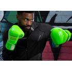 Боксерські рукавички HAYABUSA T3 Boxing Gloves