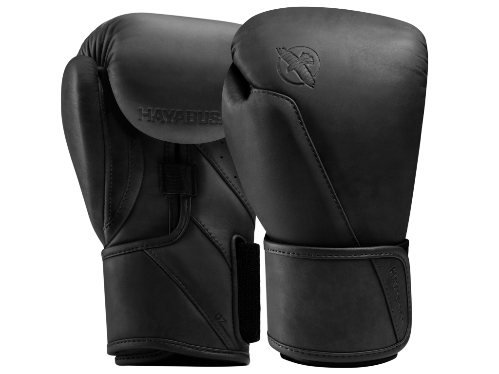 Боксерські рукавички HAYABUSA T360 Leather Boxing Gloves