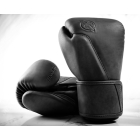 Боксерські рукавички HAYABUSA T360 Leather Boxing Gloves