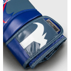 Рукавички тренувальні RINGHORNS Charger by Venum Boxing Gloves