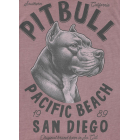 Футболка PIT BULL Denim Washed Raw Pacific