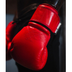 Тренувальні рукавички TITLE Boxing Ko-Vert
