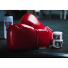 Тренувальні рукавички TITLE Boxing Ko-Vert