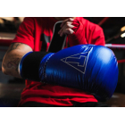 Тренувальні рукавички TITLE Boxing Momentum Pro Training