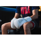 Тренувальні рукавички TITLE Boxing Momentum Pro Training