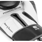 Тренувальні рукавички EVERLAST Powerlock OG Advanced Boxing Glove Hook & Loop