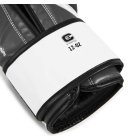 Тренувальні рукавички EVERLAST Powerlock OG Advanced Boxing Glove Hook & Loop