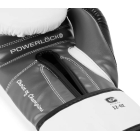 Тренувальні рукавички EVERLAST Powerlock OG Advanced Boxing Glove Hook & Loop